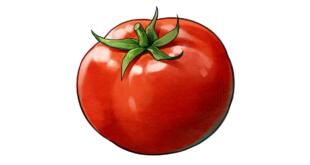 harvestalla_nemean_tomatoe